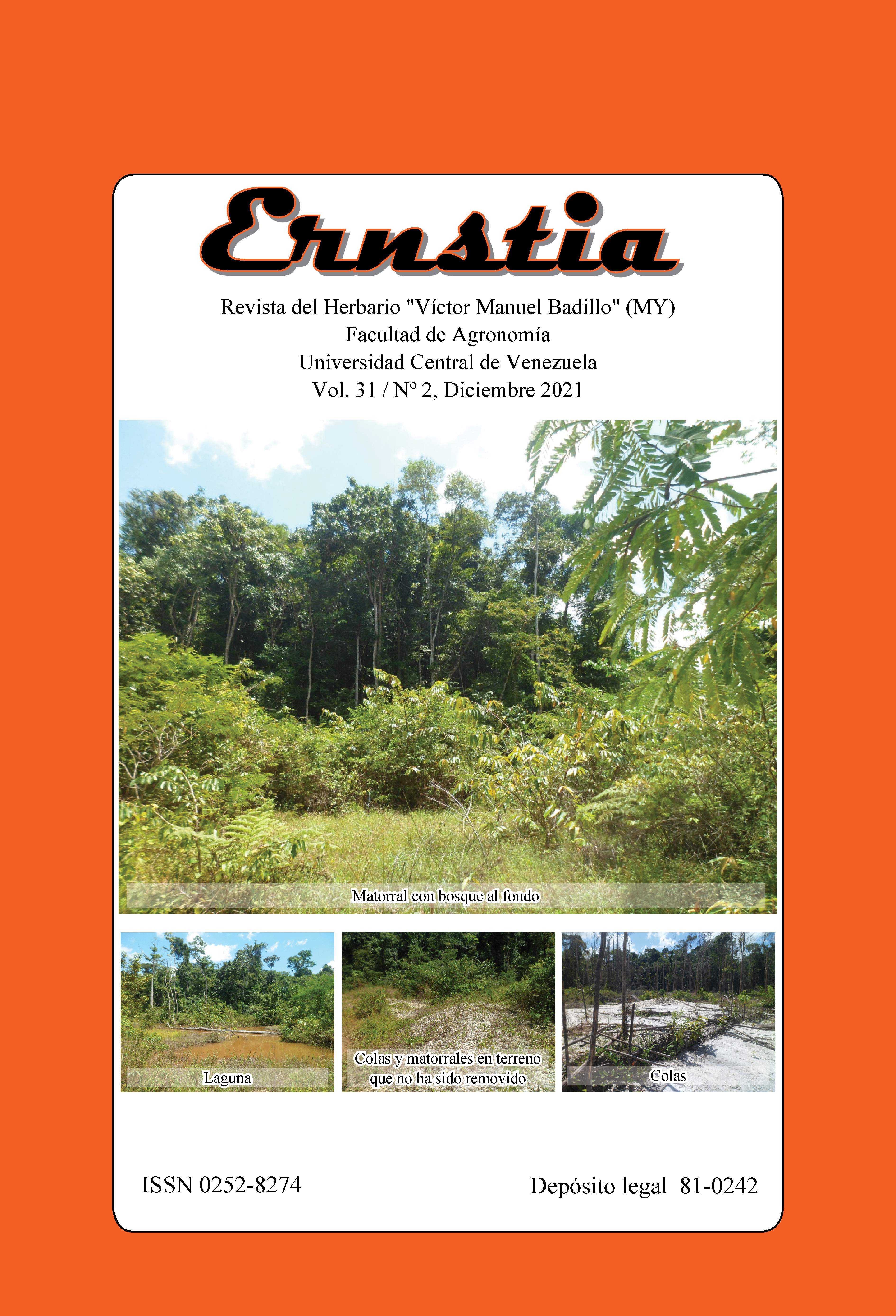 PORTADA: Bosques y zonas intervenidas por la minería en la Reserva Forestal Imataca, Río Grande, estado Delta Amacuro, Venezuela.