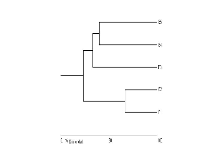 dendrograma01_edgarcamero.png