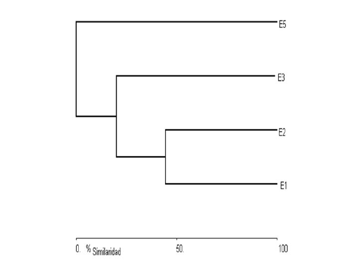 dendrograma02_edgarcamero.png