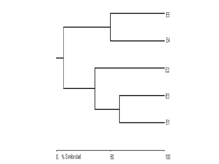 dendrograma03_edgarcamero.png