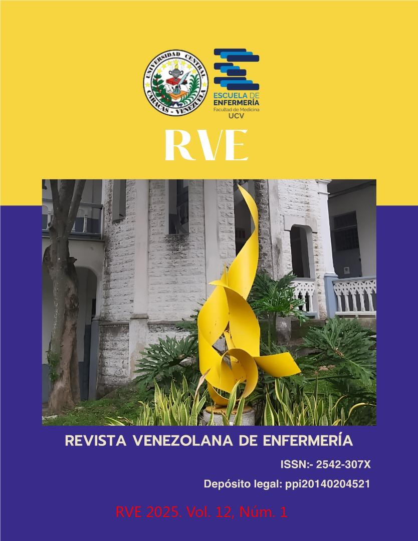 					Ver Vol. 13 Núm. 1 (2026): Revista Venezolana de Enfermería
				